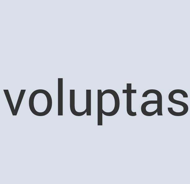 Aerodynamic Bronze Calque