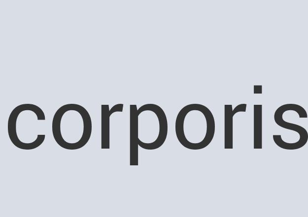 Awesome Silk Ultra Beef