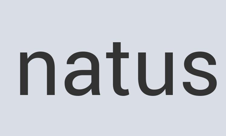 Aerodynamic Copper Stretch-O-Mania