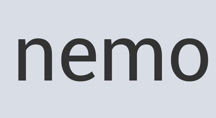 Gorgeous Copper Fleece Collar