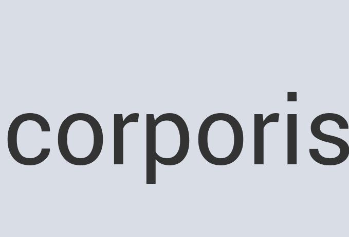 Durable Leather Comquest